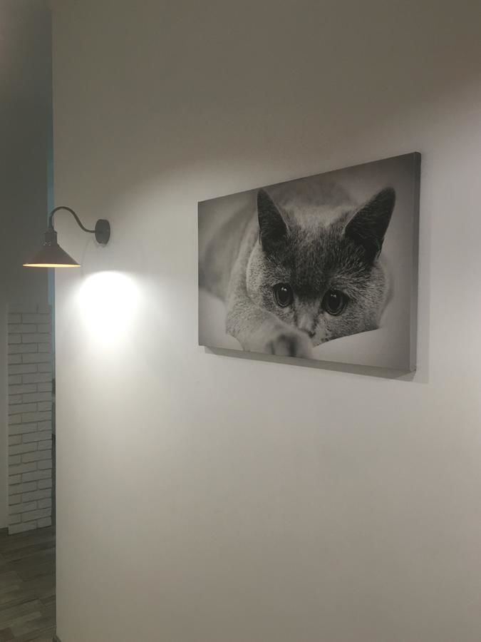 Апартаменты Comfort place in the city centre Ивано-Франковск-5