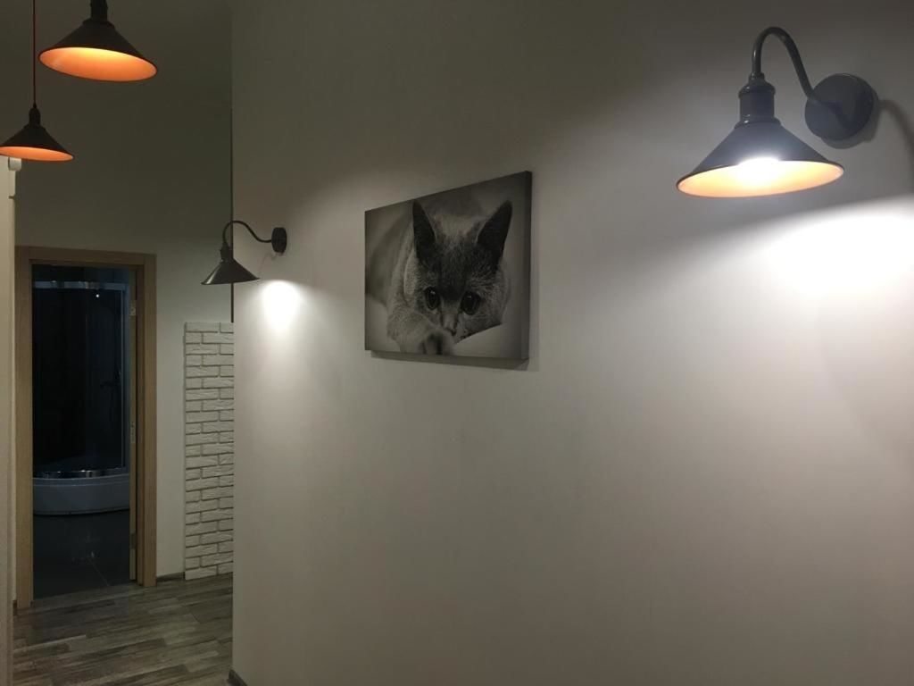 Апартаменты Comfort place in the city centre Ивано-Франковск-39