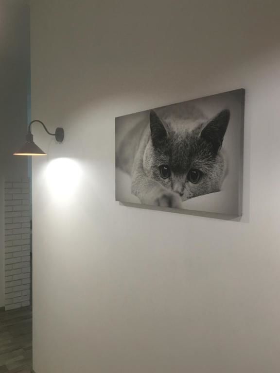 Апартаменты Comfort place in the city centre Ивано-Франковск-50